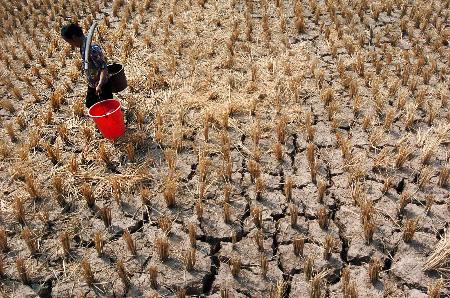 ��������ؑc���錢�õ�����