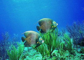 У�@������Ƹ��(hu��)